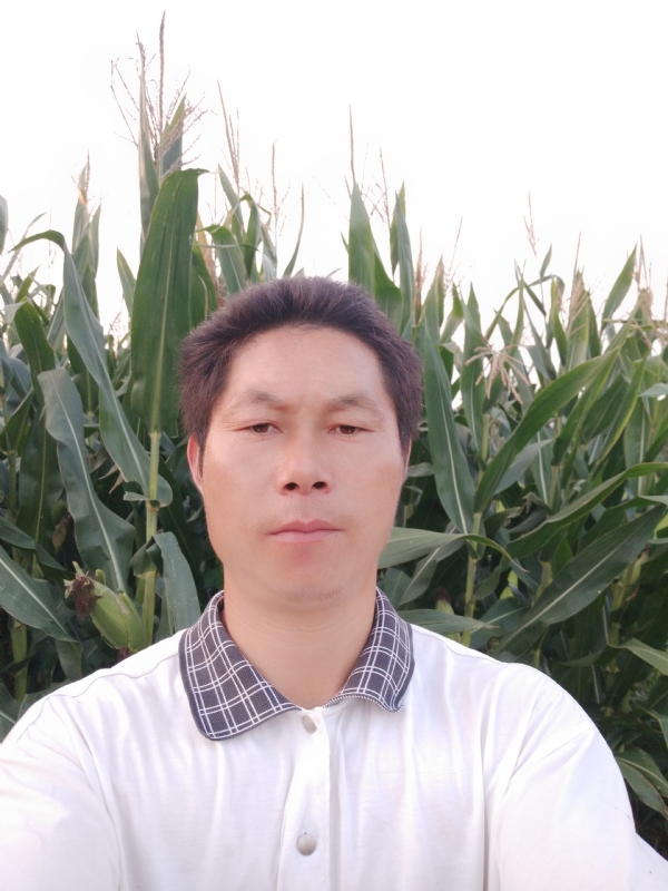 四海游龙的第一张照片--佛山相亲服务中心