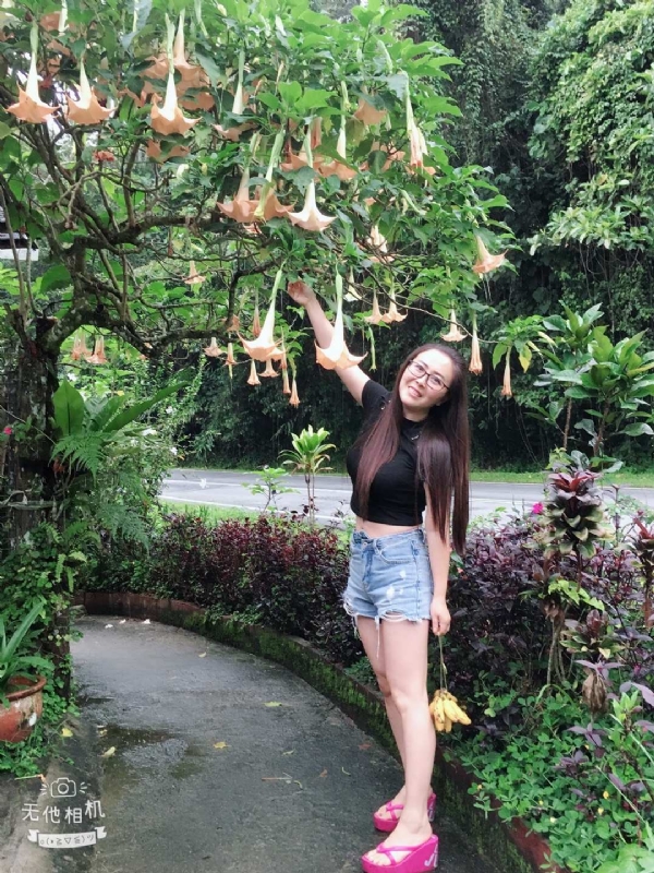 离异单身无子的第二张照片--佛山相亲服务中心