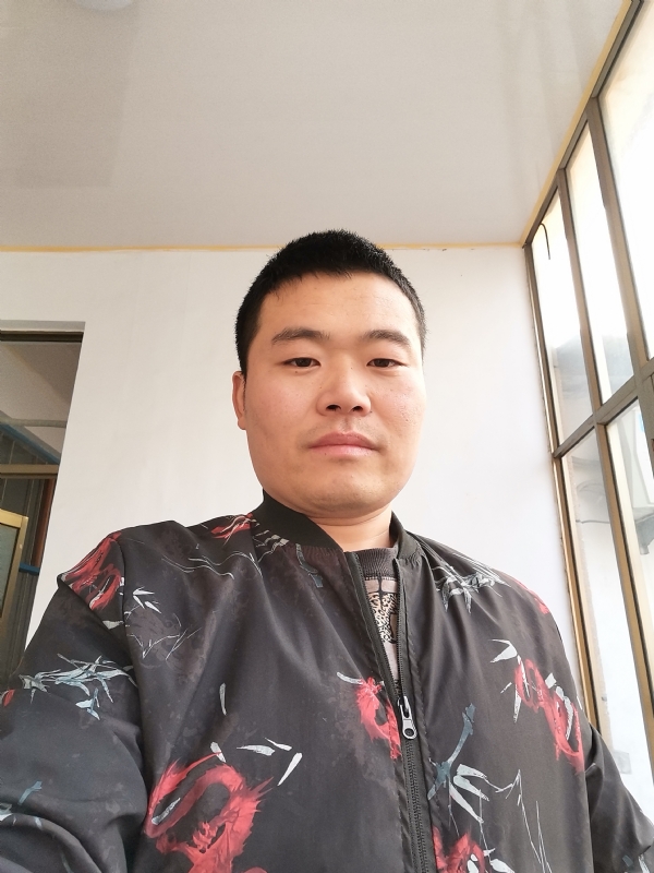 会飞的猪的第一张照片--佛山相亲服务中心