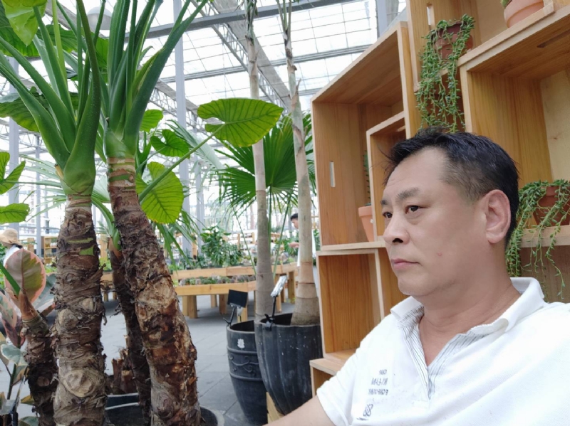 davidxy669988的第一张照片--佛山相亲服务中心