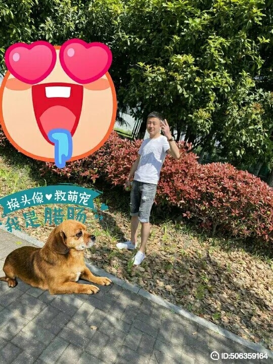 我若不坚强谁替我勇敢的第一张照片--佛山相亲服务中心