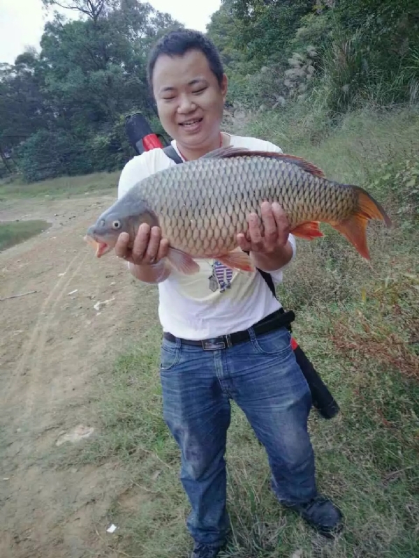 迷路的男人的第一张照片--佛山相亲服务中心