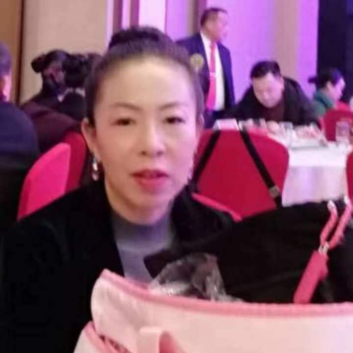 中秋桂花玉兔的第四张照片--佛山相亲服务中心